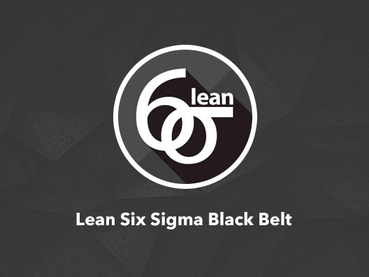 Think Next-Lean-six-sigma-black-belt
